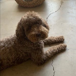 Meet your Posher, Monette